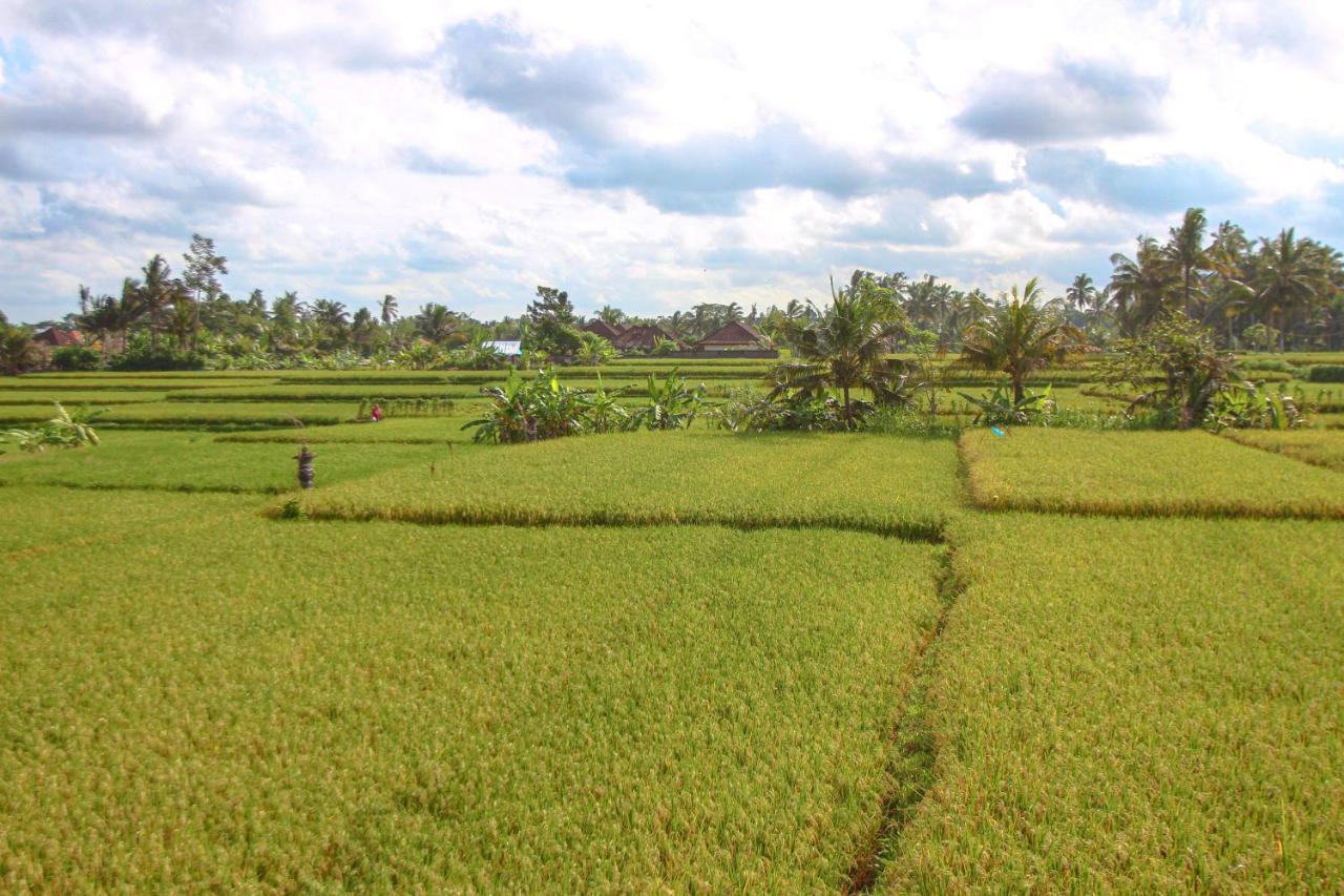 Kubu Sari Ubud Exterior foto